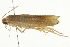  ( - SNS10IL-00495)  @12 [ ] CreativeCommons - Attribution (2011) CBG Photography Group Centre for Biodiversity Genomics
