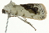  ( - SNS10IL-00531)  @12 [ ] CreativeCommons - Attribution (2011) CBG Photography Group Centre for Biodiversity Genomics