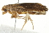  ( - SNS10IL-00546)  @12 [ ] CreativeCommons - Attribution (2011) CBG Photography Group Centre for Biodiversity Genomics