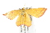  ( - SNS10IL-00655)  @12 [ ] CreativeCommons - Attribution (2011) CBG Photography Group Centre for Biodiversity Genomics