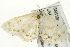  ( - SNS10IL-00709)  @12 [ ] CreativeCommons - Attribution (2011) CBG Photography Group Centre for Biodiversity Genomics