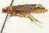  ( - SNS10IL-00829)  @12 [ ] CreativeCommons - Attribution (2011) CBG Photography Group Centre for Biodiversity Genomics