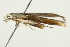  ( - SNS10IL-00841)  @12 [ ] CreativeCommons - Attribution (2011) CBG Photography Group Centre for Biodiversity Genomics
