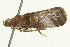 ( - SNS10IL-00883)  @12 [ ] CreativeCommons - Attribution (2011) CBG Photography Group Centre for Biodiversity Genomics