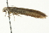  ( - SNS10IL-01251)  @12 [ ] CreativeCommons - Attribution (2011) CBG Photography Group Centre for Biodiversity Genomics
