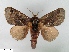  ( - SMFL-LIMAC 001)  @14 [ ] Unspecified (default): All Rights Reserved  Unspecified Unspecified