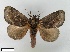  ( - SMFL-LIMAC 002)  @14 [ ] Unspecified (default): All Rights Reserved  Unspecified Unspecified