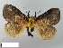  ( - SMFL-LIMAC 004)  @13 [ ] Unspecified (default): All Rights Reserved  Unspecified Unspecified