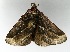  ( - VZ-LIMAC 155)  @13 [ ] Copyright (2010) Unspecified Research Collection of Alexey V. Solovyev