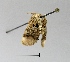  ( - AS-LIMAC 1)  @11 [ ] Copyright (2010) Unspecified Research Collection of Alexey V. Solovyev