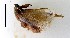  ( - AS-LIMAC 24)  @12 [ ] Copyright (2010) Unspecified Research Collection of Alexey V. Solovyev