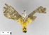  ( - AS-LIMAC 321)  @12 [ ] Unspecified (default): All Rights Reserved  Unspecified Unspecified