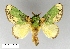  ( - AS-LIMAC 332)  @13 [ ] Unspecified (default): All Rights Reserved  Unspecified Unspecified