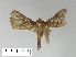  ( - AS-LIMAC 358)  @13 [ ] Unspecified (default): All Rights Reserved  Unspecified Unspecified