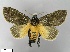  ( - WITT-LIMAC 374)  @13 [ ] Unspecified (default): All Rights Reserved  Unspecified Unspecified