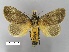  ( - WITT-LIMAC 375)  @14 [ ] Unspecified (default): All Rights Reserved  Unspecified Unspecified