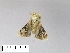  ( - AS-LIMAC 377)  @12 [ ] Unspecified (default): All Rights Reserved  Unspecified Unspecified