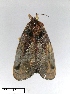  ( - AS-LIMAC 391)  @13 [ ] Unspecified (default): All Rights Reserved  Unspecified Unspecified