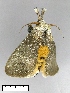  ( - AS-LIMAC 402)  @12 [ ] Unspecified (default): All Rights Reserved  Unspecified Unspecified