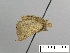  ( - AS-LIMAC 404)  @12 [ ] Unspecified (default): All Rights Reserved  Unspecified Unspecified