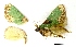 ( - AS-LIMAC 42)  @12 [ ] Copyright (2010) Unspecified Research Collection of Alexey V. Solovyev