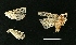  ( - AS-LIMAC 67)  @12 [ ] Copyright (2010) Unspecified Research Collection of Alexey V. Solovyev