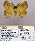  ( - DNA-VZ2011-112)  @12 [ ] Unspecified (default): All Rights Reserved  Unspecified Unspecified
