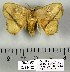  ( - DNA-VZ2011-125)  @12 [ ] Unspecified (default): All Rights Reserved  Unspecified Unspecified