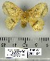  ( - DNA-VZ2011-127)  @12 [ ] Unspecified (default): All Rights Reserved  Unspecified Unspecified