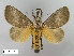  ( - SMFL-LIMAC-003)  @13 [ ] Unspecified (default): All Rights Reserved  Unspecified Unspecified