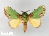  ( - WITT-LIMAC-027)  @15 [ ] Unspecified (default): All Rights Reserved  Unspecified Unspecified