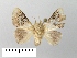  ( - WITT-LIMAC-146)  @13 [ ] Unspecified (default): All Rights Reserved  Unspecified Unspecified