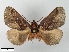  ( - WITT-LIMAC-227)  @12 [ ] Unspecified (default): All Rights Reserved  Unspecified Unspecified