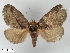 ( - WITT-LIMAC-229)  @13 [ ] Unspecified (default): All Rights Reserved  Unspecified Unspecified