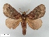  ( - WITT-LIMAC-230)  @14 [ ] Unspecified (default): All Rights Reserved  Unspecified Unspecified