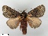  ( - WITT-LIMAC-231)  @14 [ ] Unspecified (default): All Rights Reserved  Unspecified Unspecified