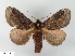  ( - WITT-LIMAC-233)  @14 [ ] Unspecified (default): All Rights Reserved  Unspecified Unspecified