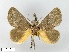  ( - WITT-LIMAC-323)  @12 [ ] Unspecified (default): All Rights Reserved  Unspecified Unspecified