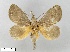  ( - WITT-LIMAC-327)  @12 [ ] Unspecified (default): All Rights Reserved  Unspecified Unspecified