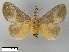  ( - WITT-LIMAC-334)  @13 [ ] Unspecified (default): All Rights Reserved  Unspecified Unspecified