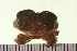  ( - HLC-25320)  @13 [ ] CreativeCommons - Attribution (2008) Unspecified Centre for Biodiversity Genomics
