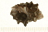  ( - HLC-25721)  @14 [ ] CreativeCommons - Attribution (2008) Unspecified Centre for Biodiversity Genomics
