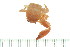  ( - HLC-24374)  @11 [ ] CreativeCommons - Attribution (2008) Unspecified Centre for Biodiversity Genomics