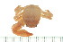  ( - HLC-24452)  @13 [ ] CreativeCommons - Attribution (2008) Unspecified Centre for Biodiversity Genomics