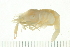  ( - HLC-24572)  @11 [ ] CreativeCommons - Attribution (2008) Unspecified Centre for Biodiversity Genomics