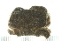  ( - HLC-24791)  @13 [ ] CreativeCommons - Attribution (2008) Unspecified Centre for Biodiversity Genomics