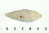  (Clibanarius taeniatus - HLC-24879)  @13 [ ] CreativeCommons - Attribution (2008) Unspecified Centre for Biodiversity Genomics