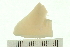  (Plebidonax - HLC-25006)  @11 [ ] CreativeCommons - Attribution (2008) Unspecified Centre for Biodiversity Genomics