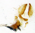  ( - Linda 31)  @11 [ ] Unspecified (default): All Rights Reserved  Unspecified Unspecified