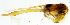  ( - Linda 32)  @11 [ ] Unspecified (default): All Rights Reserved  Unspecified Unspecified
